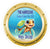 Porthole Turtle Cruise Door Magnet