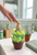 Succulent Soap Dispenser Holder BBW Foaming Soap