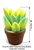 Succulent Soap Dispenser Holder BBW Foaming Soap