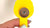 Sunflower Magnetic Cruise Hook for Hanging in Cabins, Staterooms