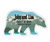 Alaska Polar Bear Cruise Door Magnet