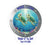 Turtle Duo Cruise Door Magnet