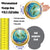 Turtle Family Cruise Door Magnet 1-4 Baby Turtles